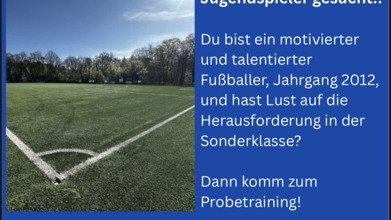 Spieler gesucht!  Jahrgang 2012